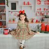 Girls * | Deals Swoon Baby Falliday Gingham Dainty Picot Dress Girls